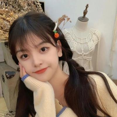 023档案